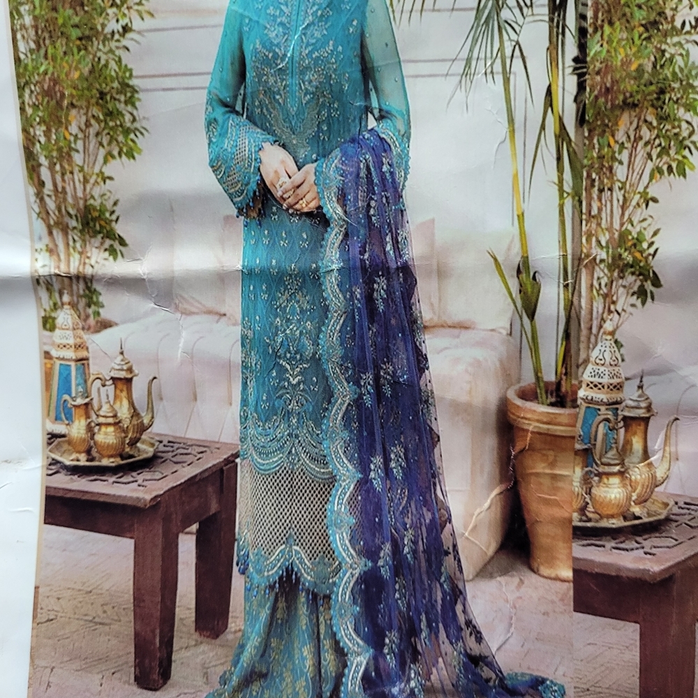 Pakistani indian dress